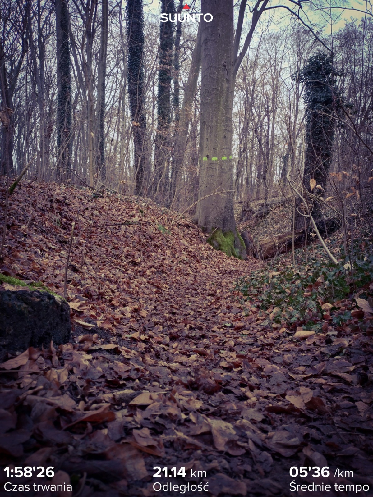 cf37cfba-2d43-411a-bf7d-10dce921825d