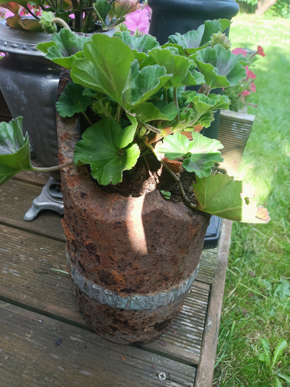 f5507b3f-71f8-4823-8d38-7ccea0f7cee8