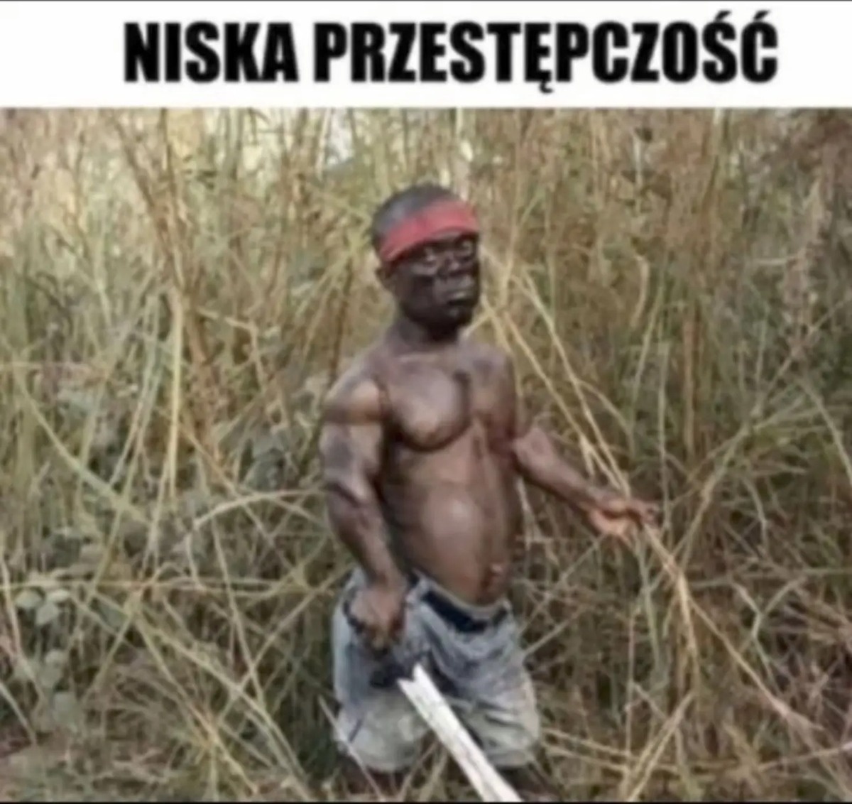 4e670e88-76a7-4c75-8d52-5b81f6f6ac18