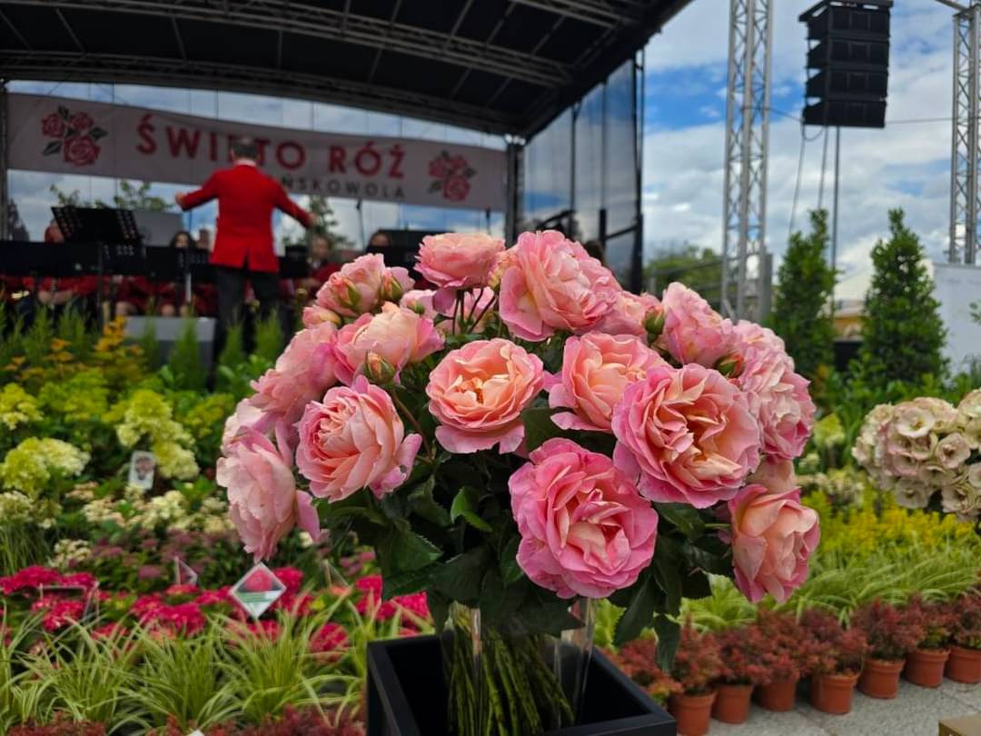 96ef482c-6bd6-4666-8c9c-88dc1f3c62f2