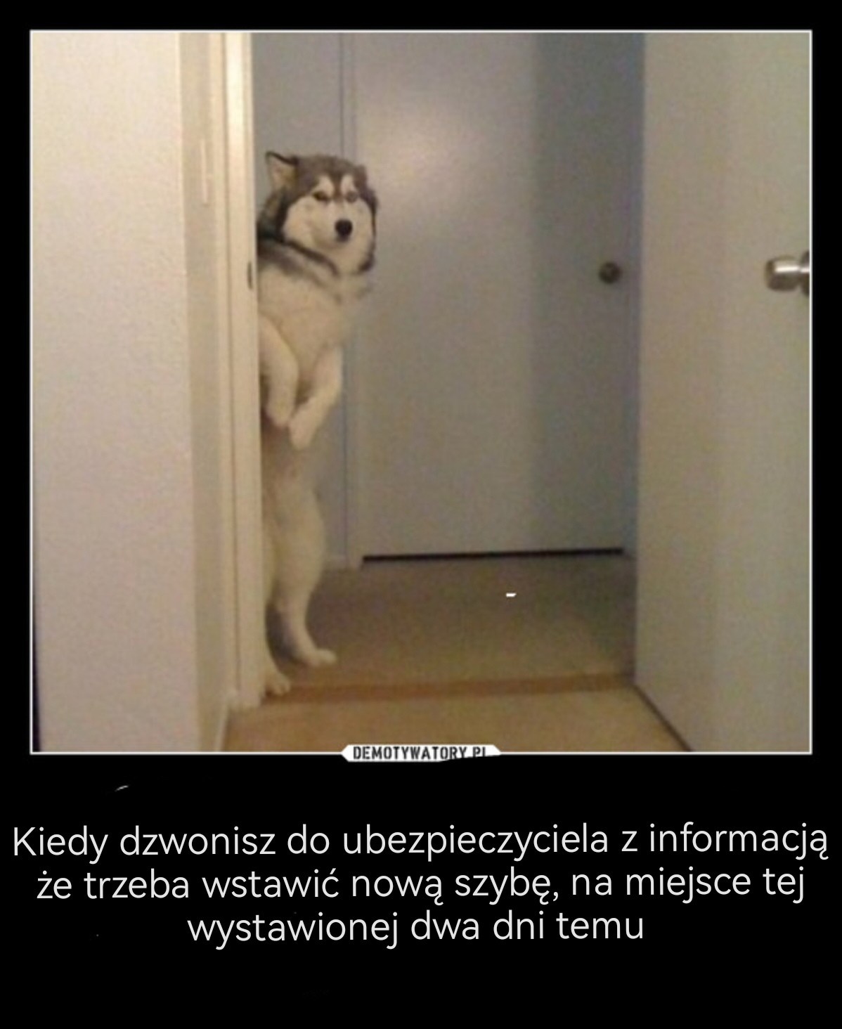 59912db2-fdf7-43ff-91f7-8a38897584b3