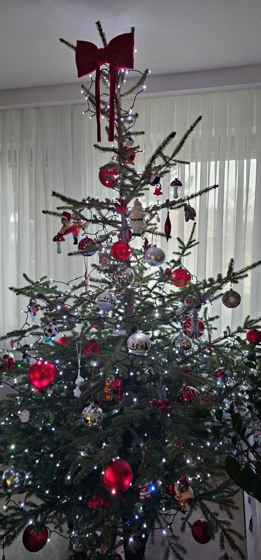 006d25c0-3dbf-4715-ba5f-88075db98eb9