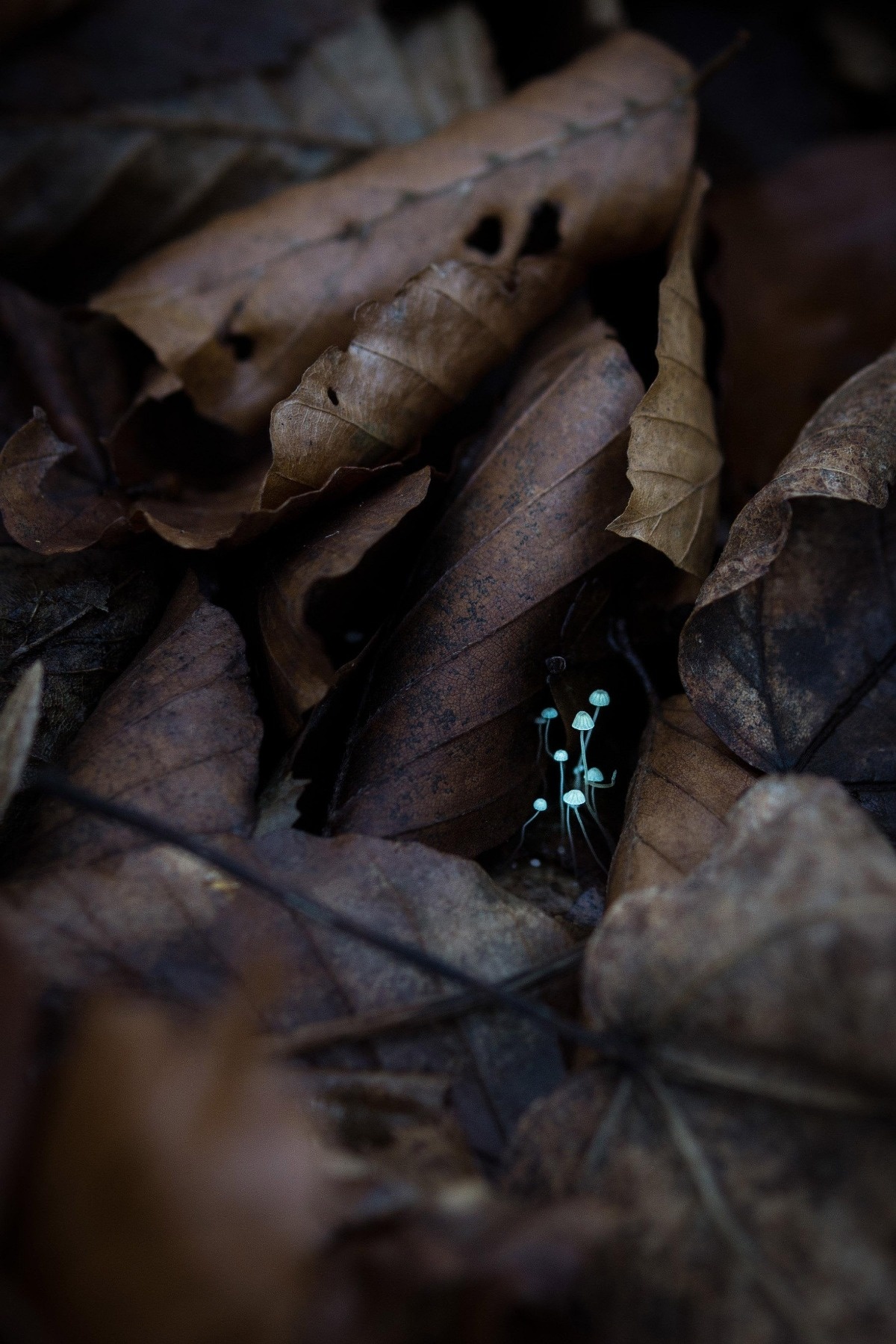 64e8f178-ab4a-4754-b2c5-5184f1a62add