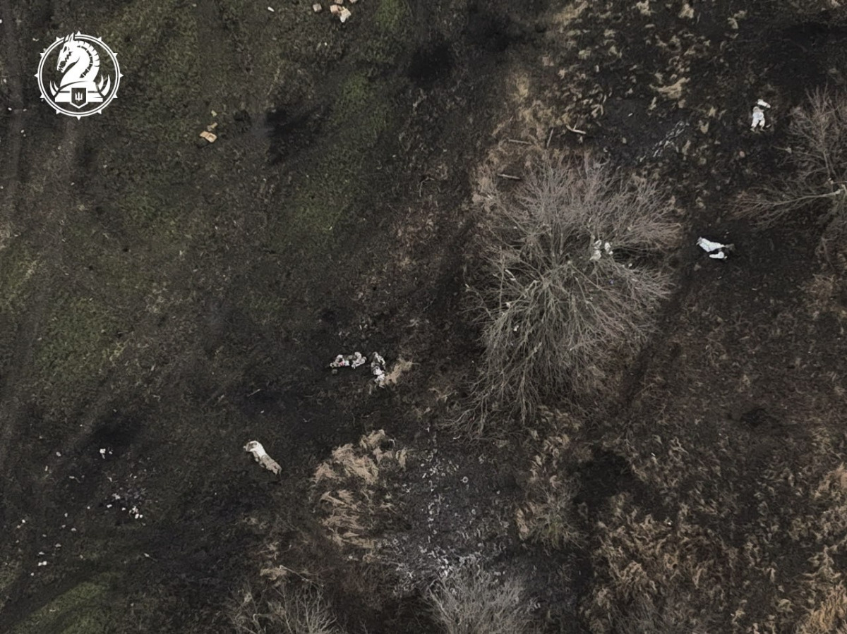 25f46df0-2ec9-4c0a-8f94-b0d1d9e77eb7