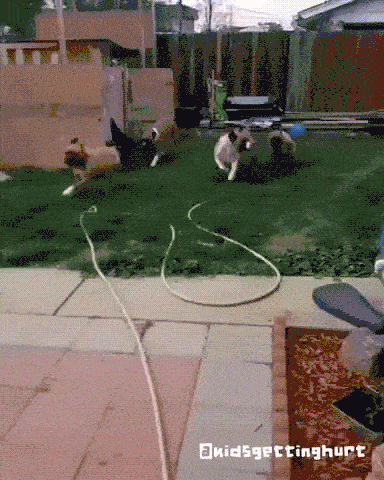 19d4fa5b-3db0-482d-8e39-435e2334454f