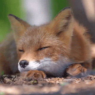 3c2eed3c-a8cf-42f7-bd2b-fb93598496df