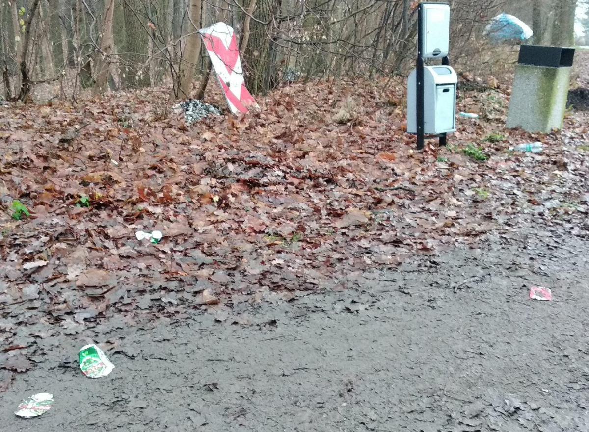 51e36957-c7a7-44a9-94c1-0dcaf9e960fd