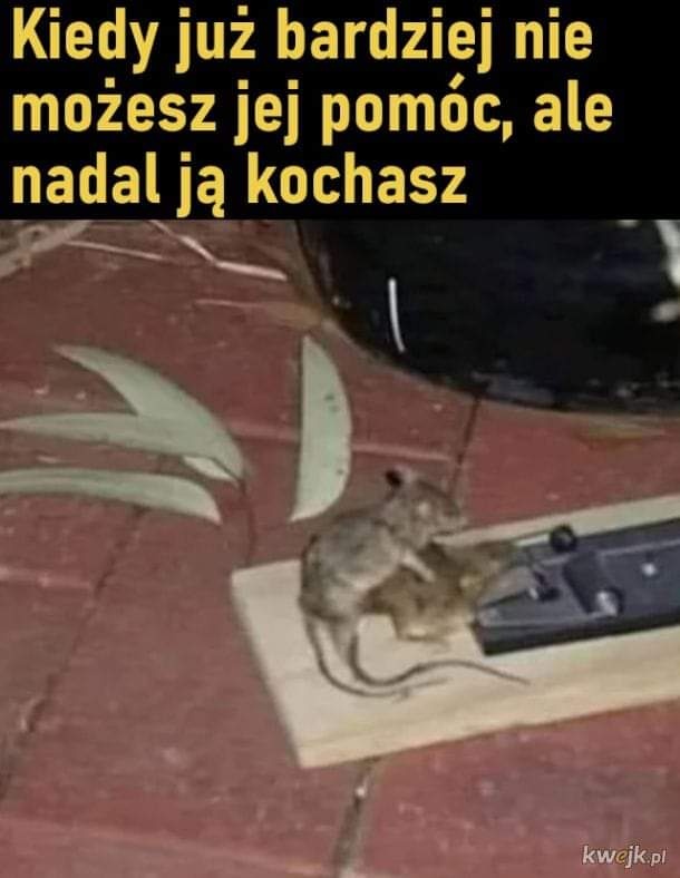 a4c4f266-458a-4682-b4a3-47551c13ce16