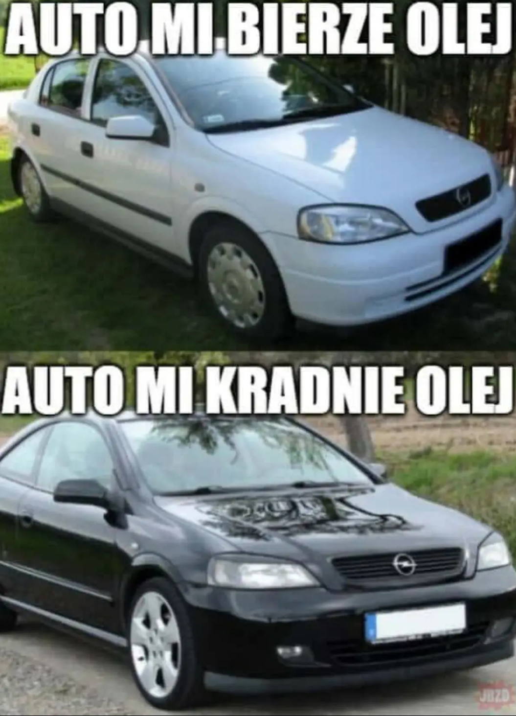 b9a36f02-6254-428b-bb24-67b8d1310639