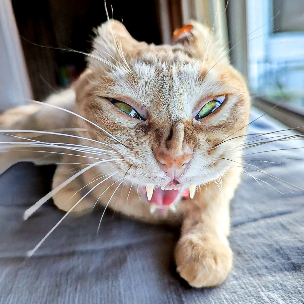 dd5b7656-66db-4f3e-bc44-be97f66b3c9d