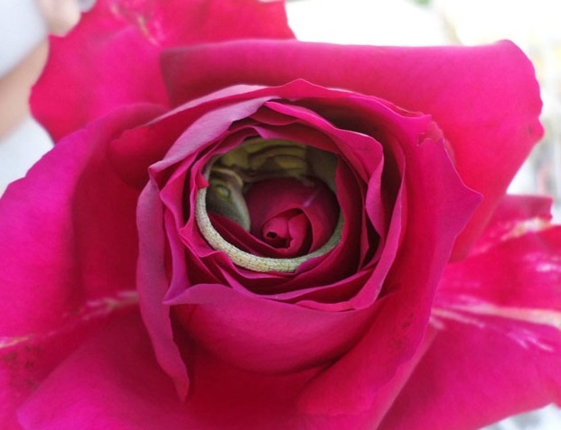 07a852e0-be81-4d26-b889-fa11eb47495c