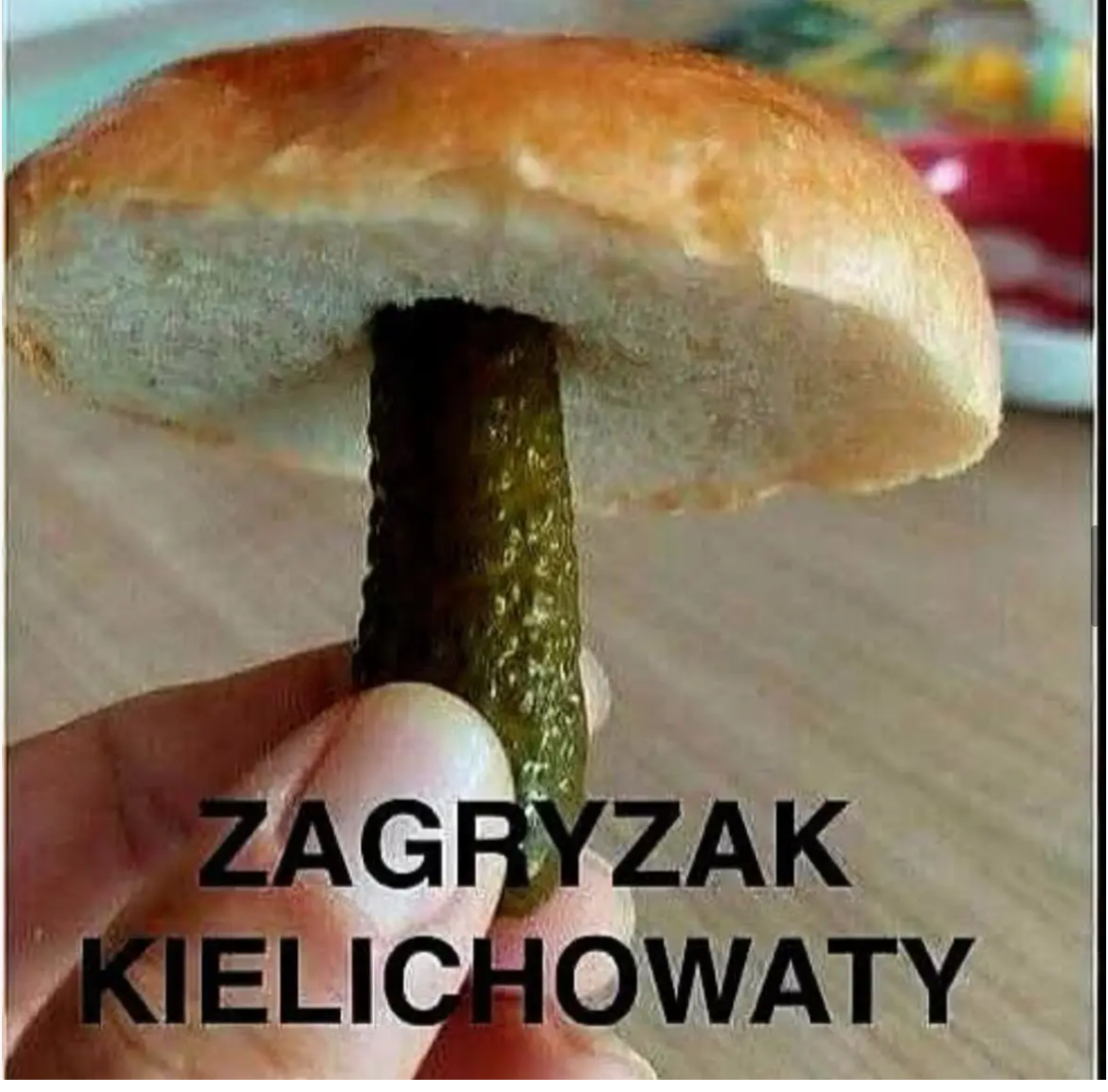 99f1b1a2-5db6-4686-9c75-c4ac90c95d83