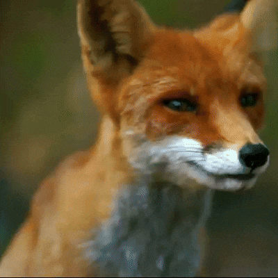 5fcab92a-27f2-493f-b017-20e014cb5ac9