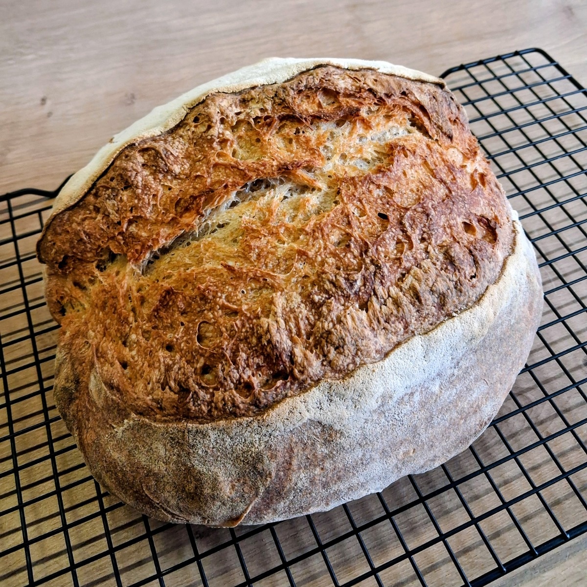 89bfca3f-e8dd-48c1-9253-9ac6ad4e8020