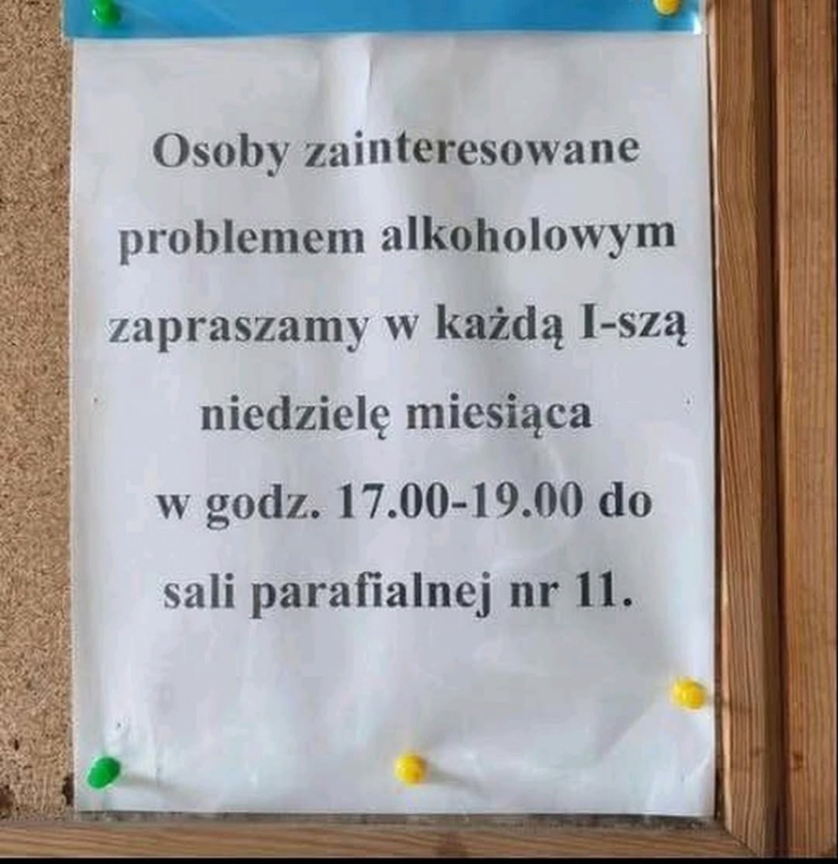 5d5a405a-113c-429a-a579-eb35da7c7b84