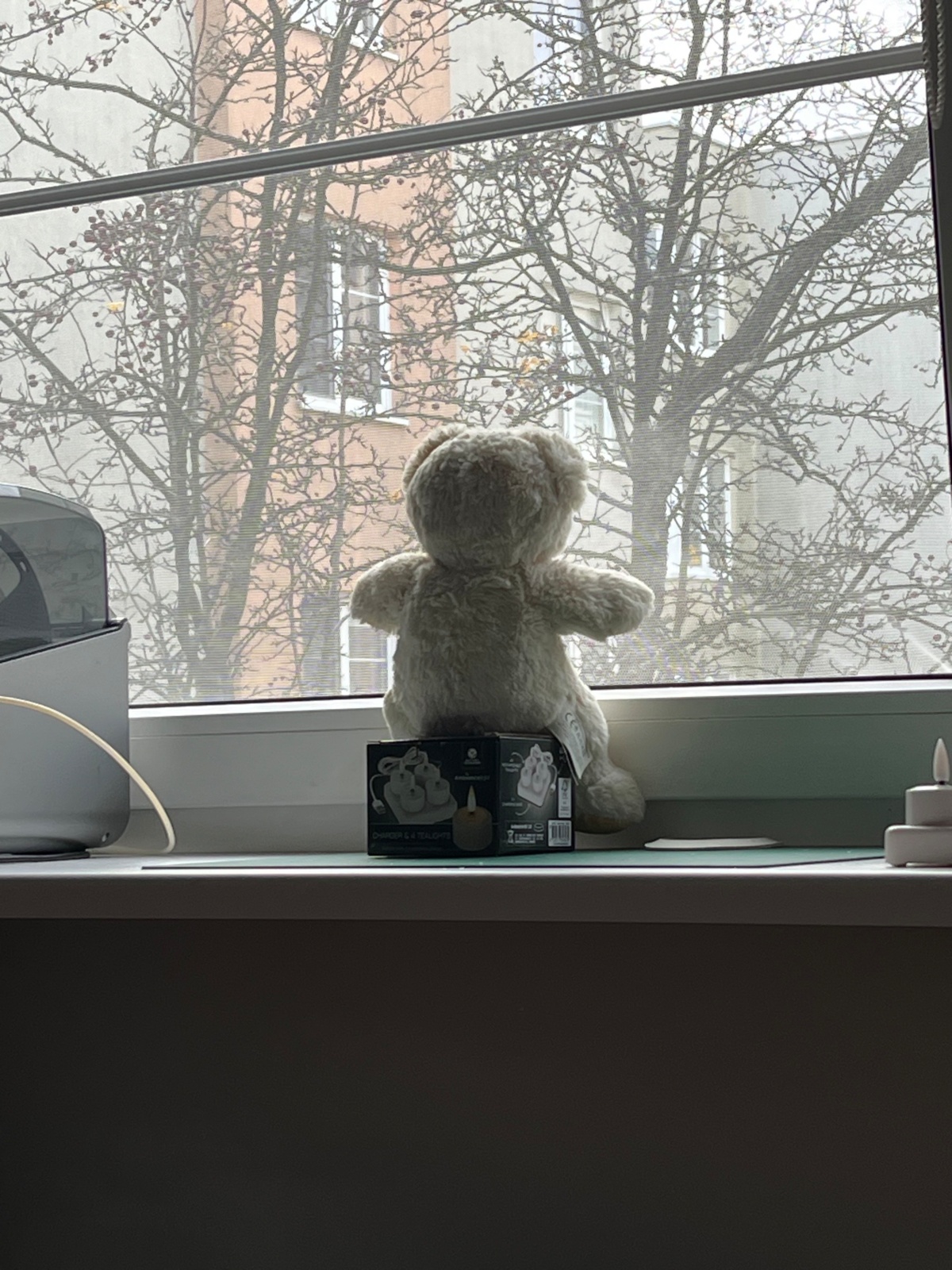 ba3e9d00-4beb-465f-99f1-682961bad906