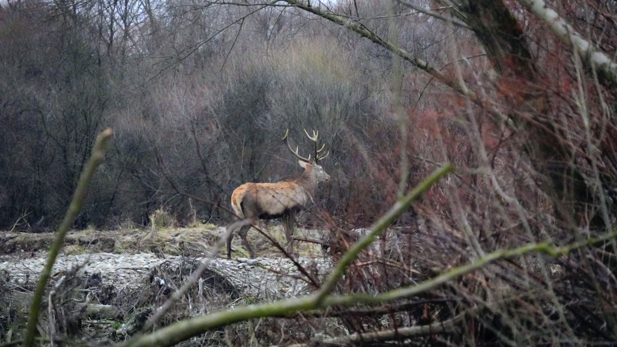 00230570-4613-468d-a39d-61487ced5cad