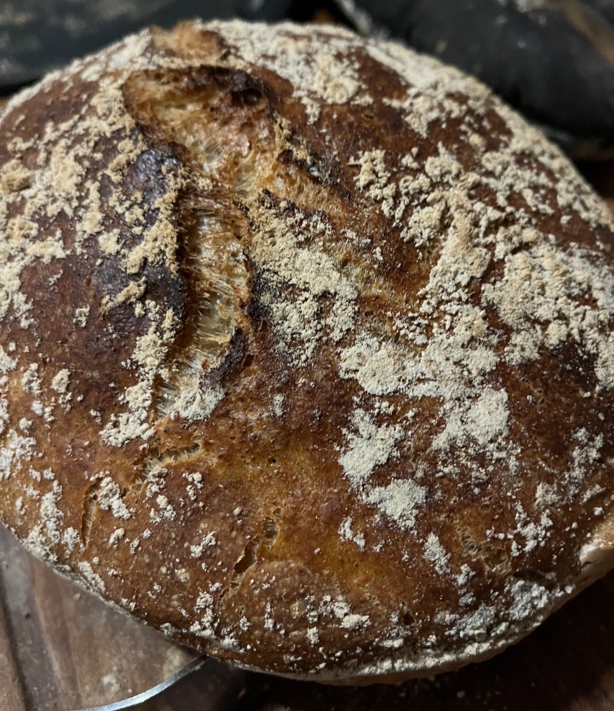 606ee3a4-c6b7-4e94-b9bc-8751df6a6afe