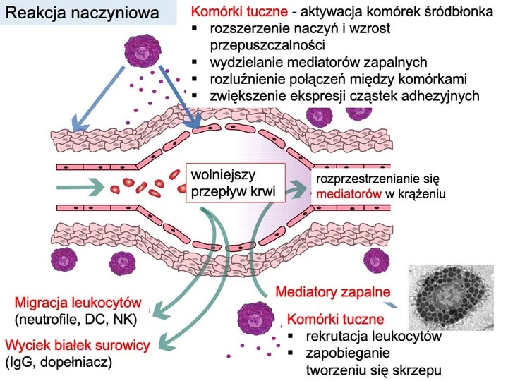 9b2f9c6d-8042-4df6-b4e9-e2c87a021433