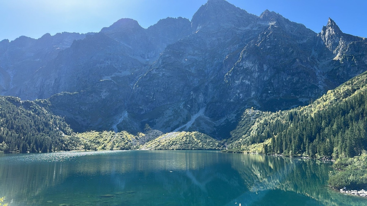 5c184fb0-b771-4fc4-bcec-989d7eb33454