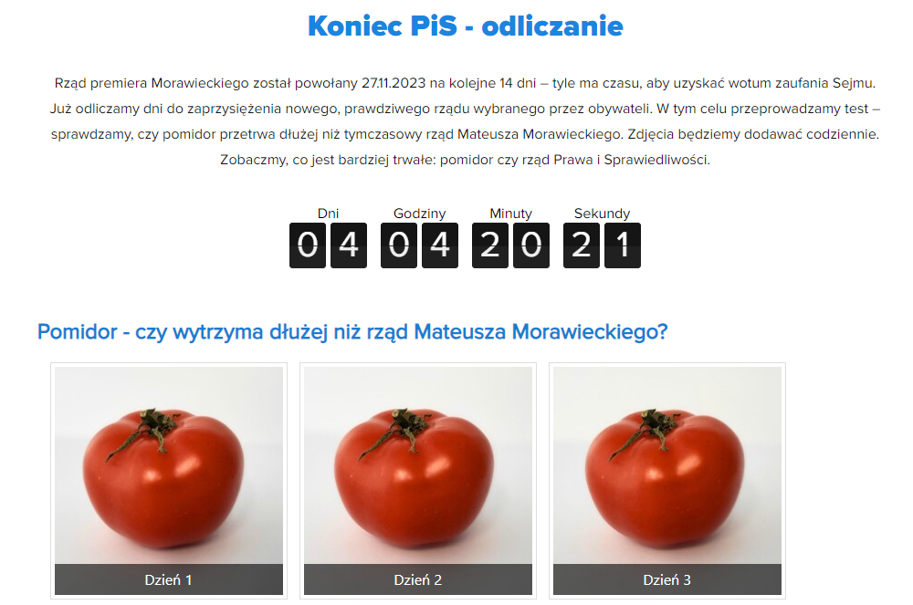 Pomidor - czy wytrzyma dłużej niż rząd Mateusza Morawieckiego?