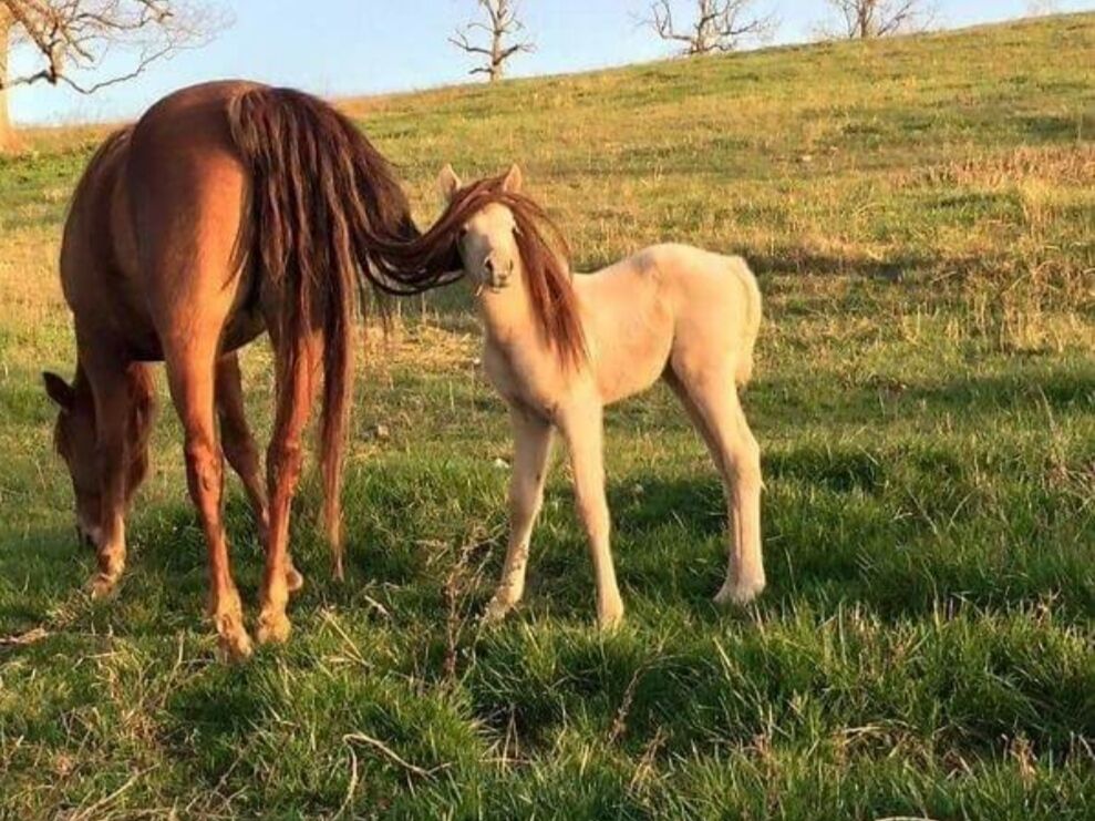 5b9f046f-1d77-4440-8668-1aa45adbb5f3