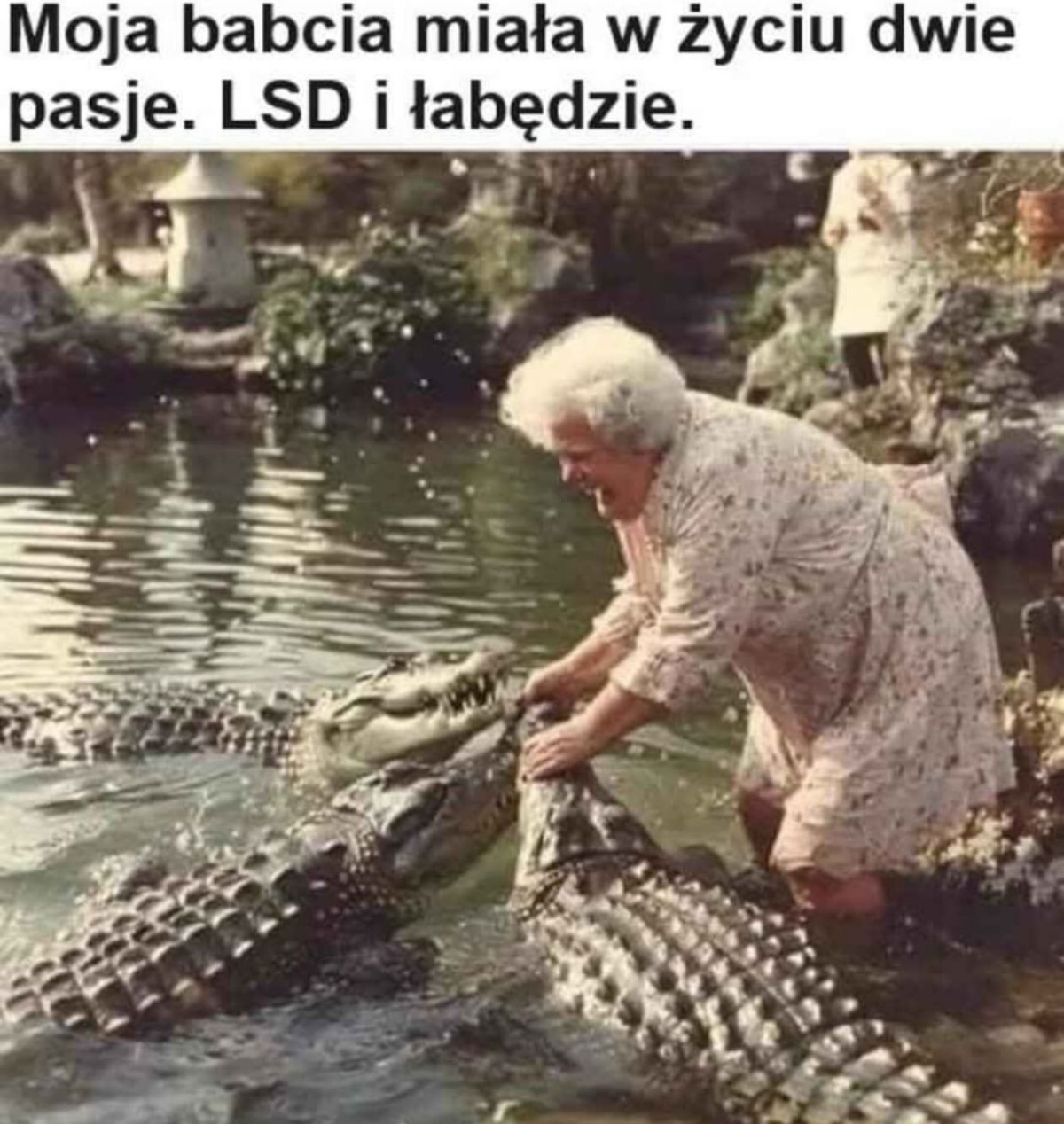 c69b4f4c-e91e-4d6a-876b-5c062592cee2