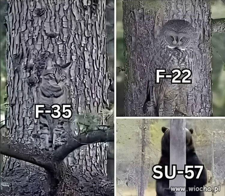 6a496d6c-4515-46ce-83a2-2ac472526bbb