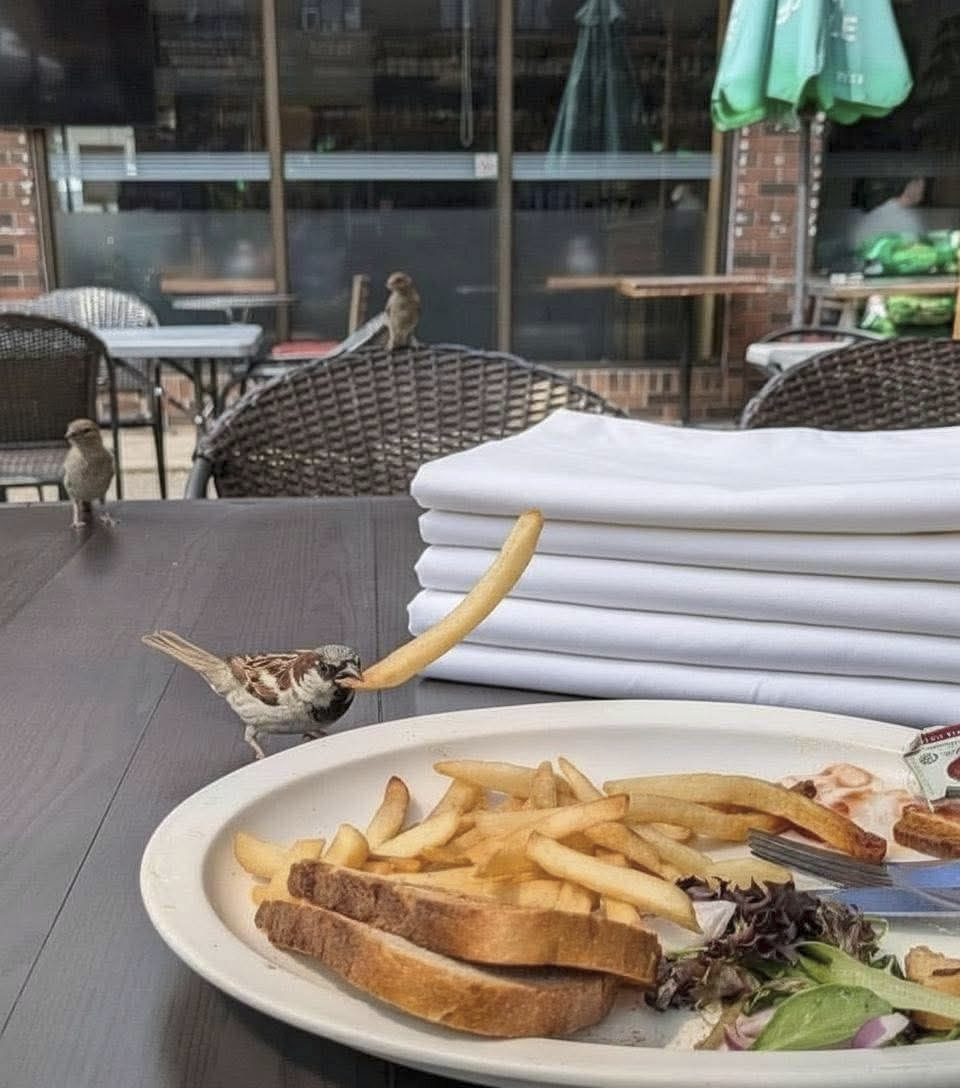 7952ec2a-5e6b-47e3-b083-9c887d955a05