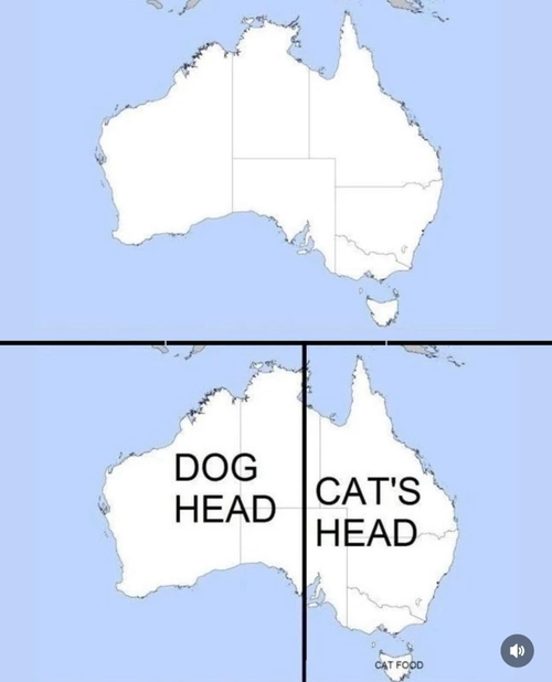 181a130d-4cf0-4162-be62-c0d7ca767d37