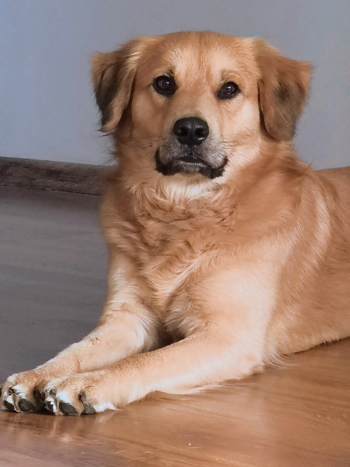 c14775f0-77f0-4d0d-86bf-820e07d751ff