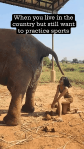 d74a308b-ec7b-4f7f-8c1f-d24e4e088f3e