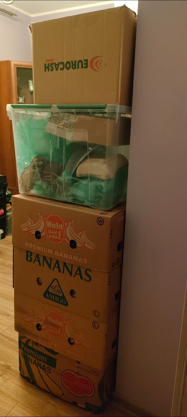 382b01cd-6905-42f7-acc4-8b19e95c12d0