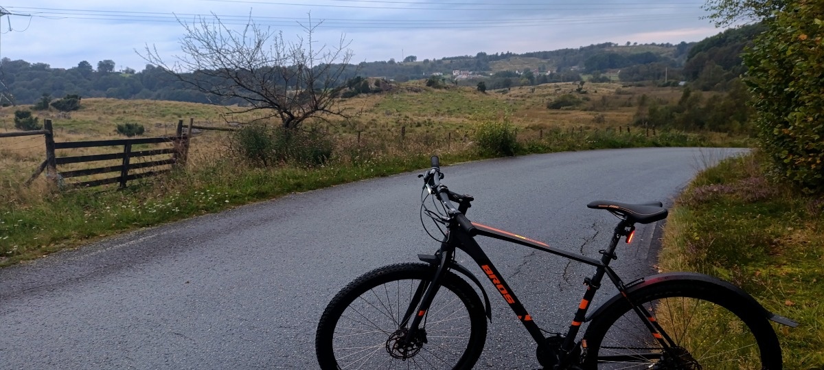 e1772c47-00e7-42c7-bd9b-3994c246ee06