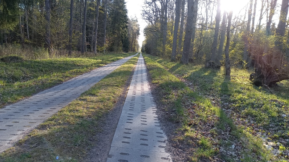 ce1dabd7-fe4f-4242-9387-7ca8022922c7