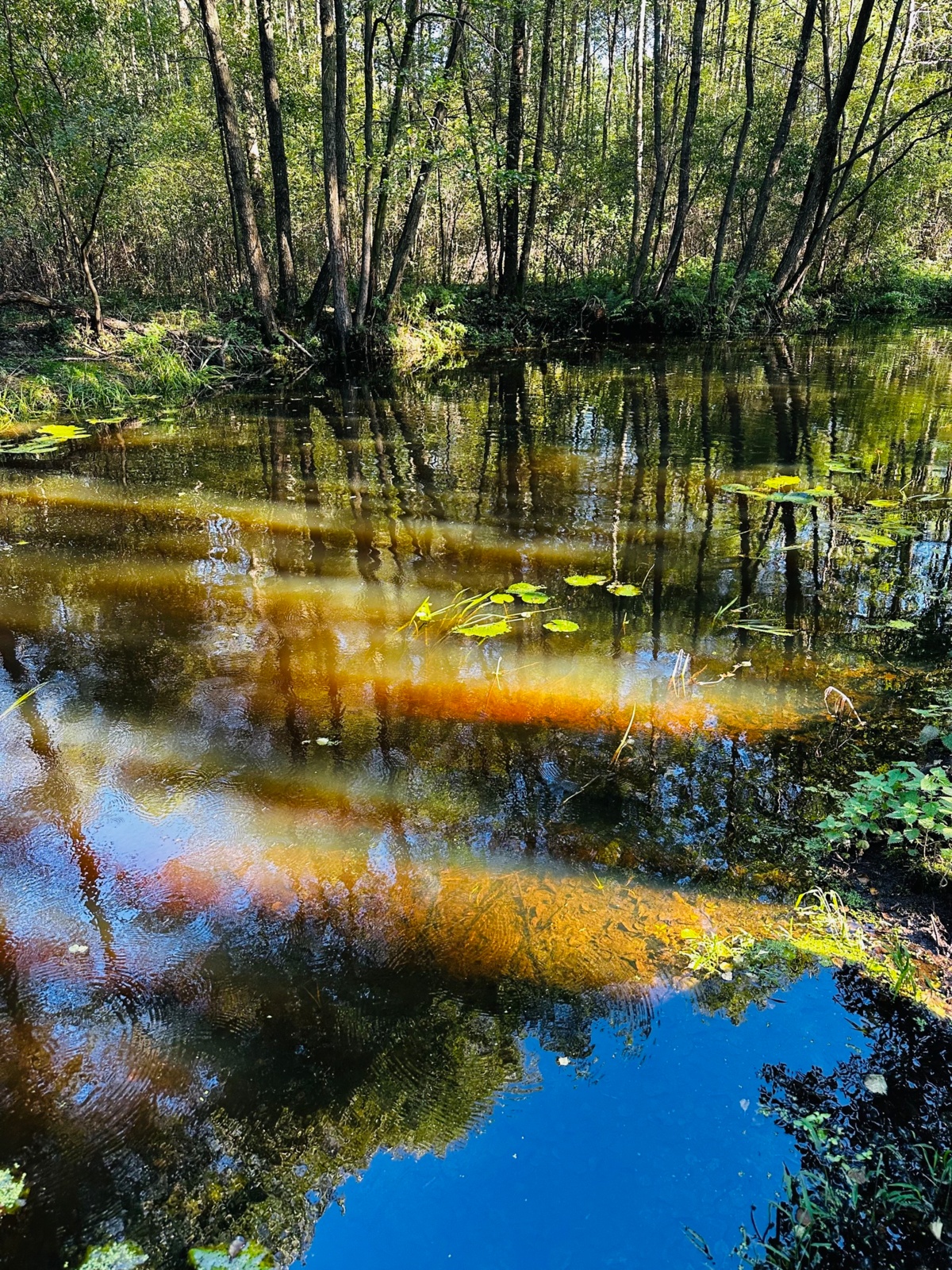 2314f2d7-21dd-496f-8d76-ea94b67ee31f