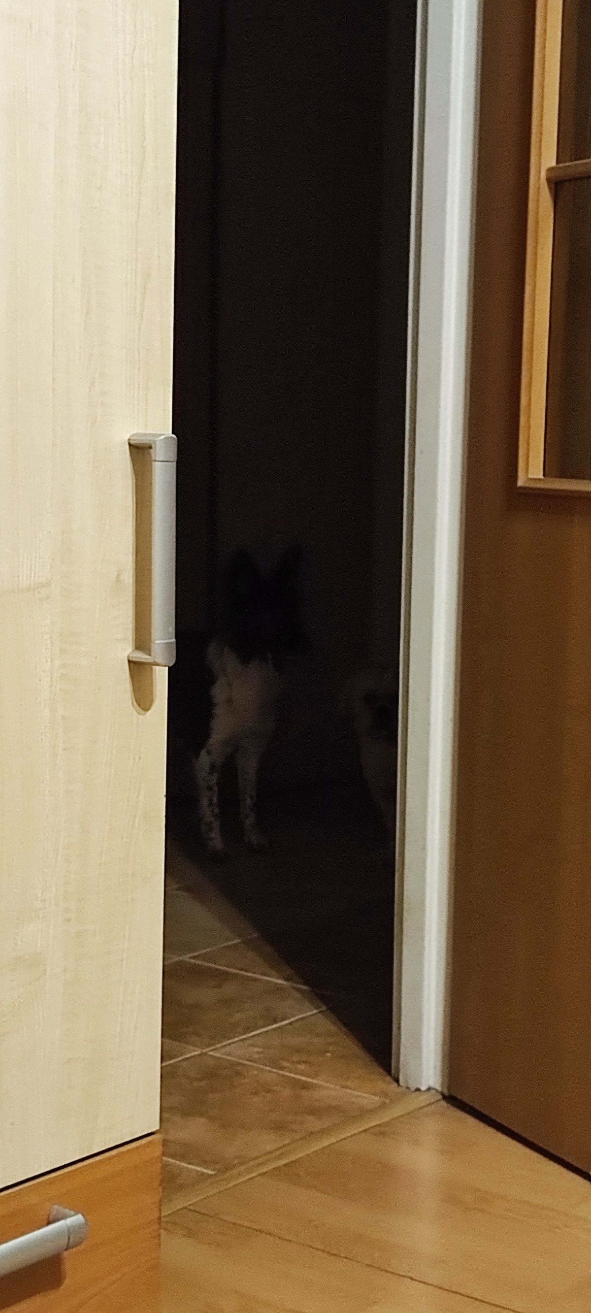 9c6dfdbf-1987-4ba1-b92f-39fde9b6c68c