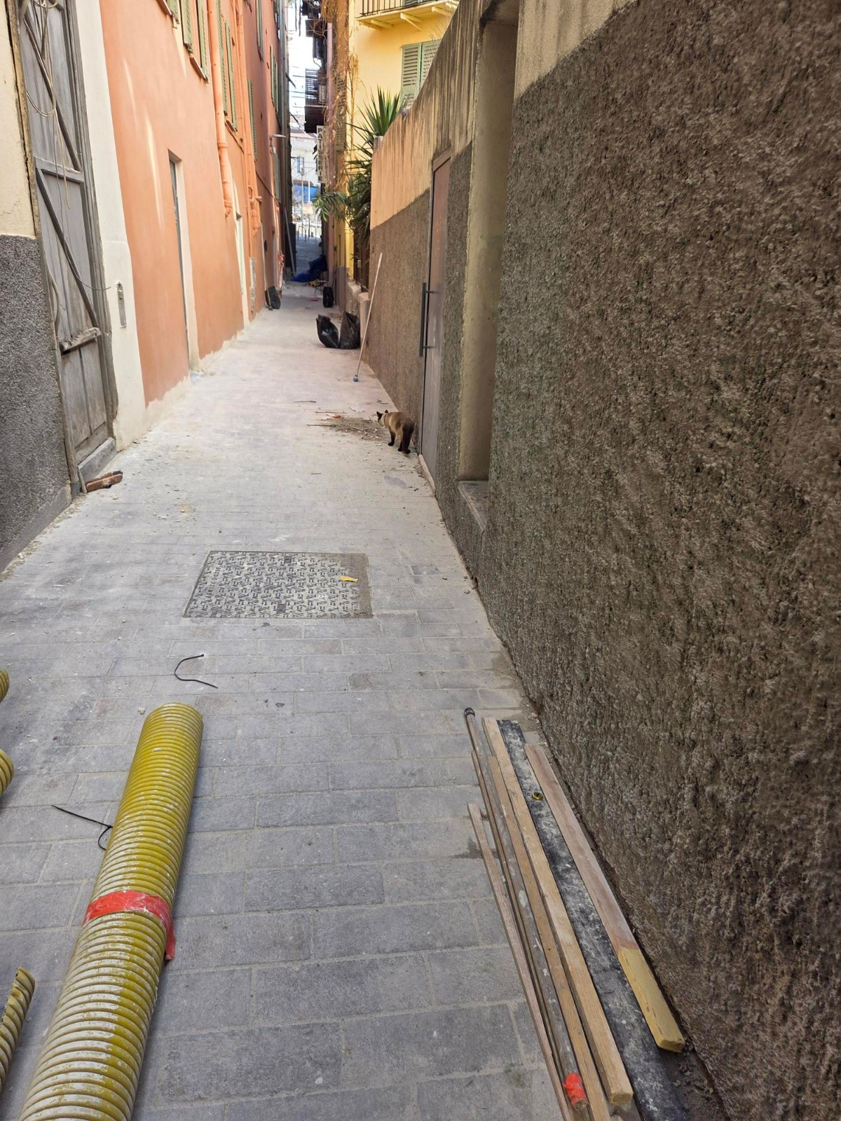 514d97c8-c4aa-4f97-8072-d41957b7086f