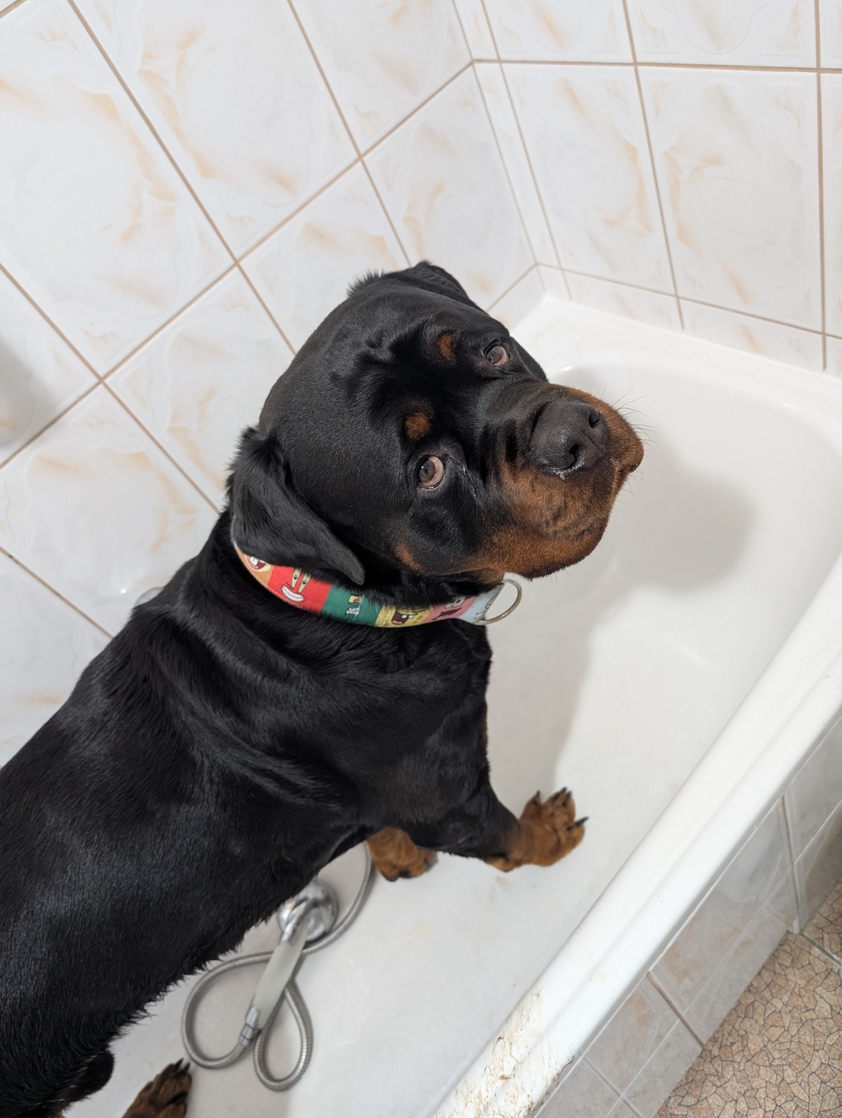 d98eafab-79b7-4b82-bdf6-2500a570056e