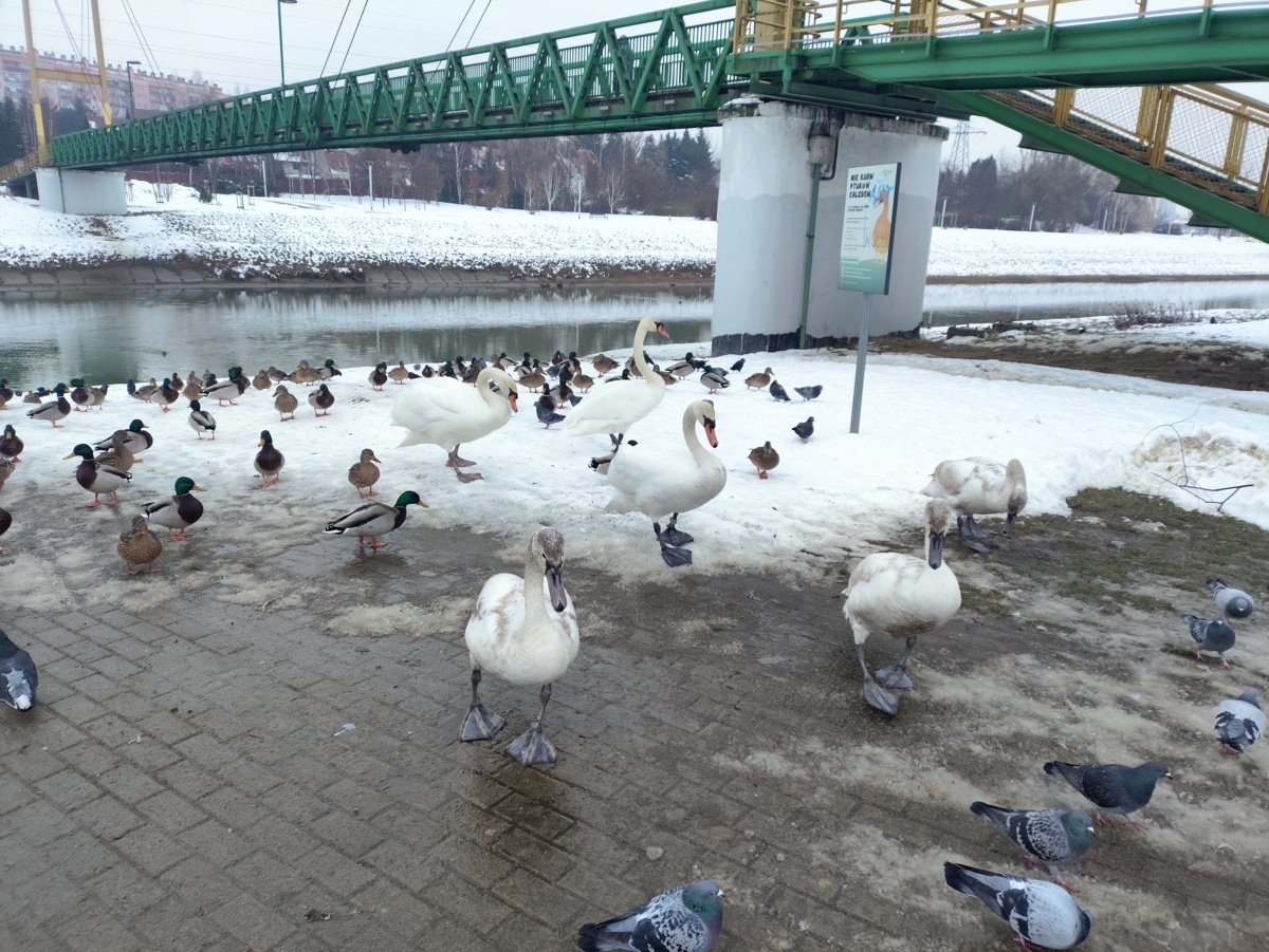 7a0a4a91-fa69-4241-8b01-7bb896f00eae