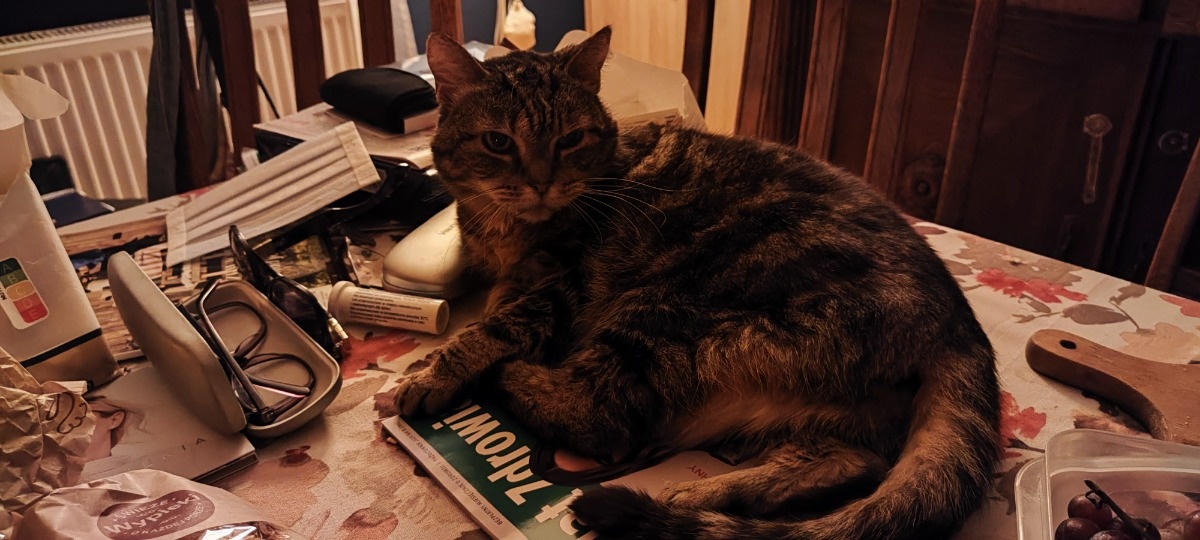 dbd66a0c-557a-49dc-b429-aa7be2557b5f