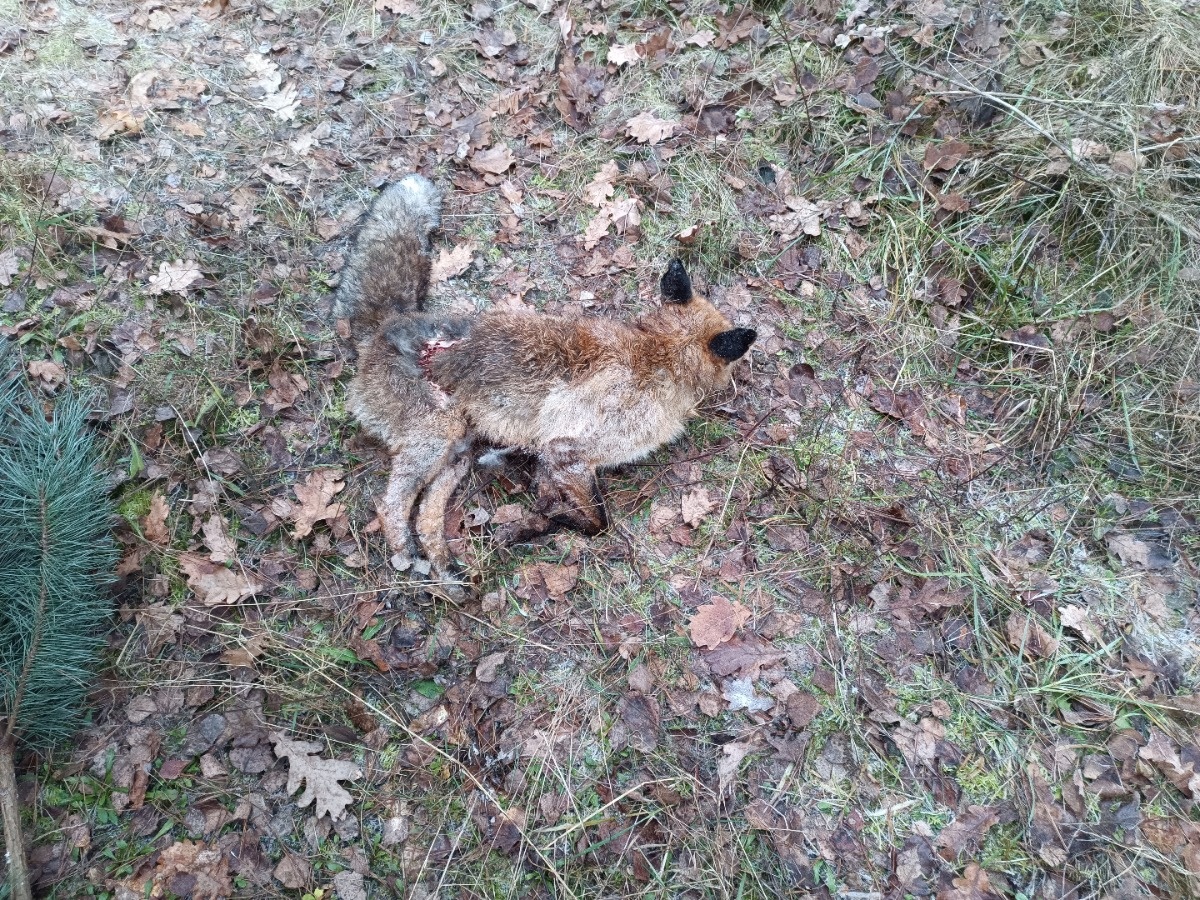 8f7d030a-327e-459d-9af2-1e476b5708b8