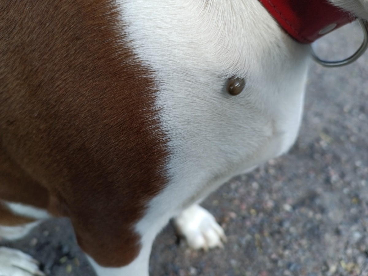 67c6f99e-9f08-4603-bedc-50a161007886