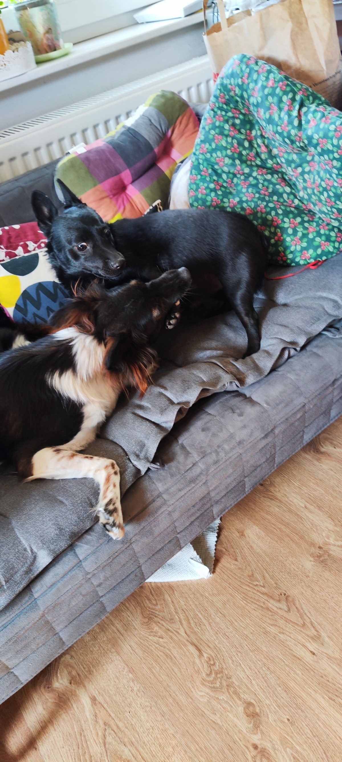 a6345706-2469-442a-b1e0-ebb92fc85db5