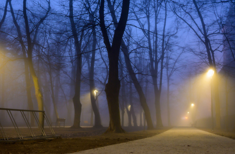 d9600eb5-cffa-4b5b-8ef4-43700e7341bc