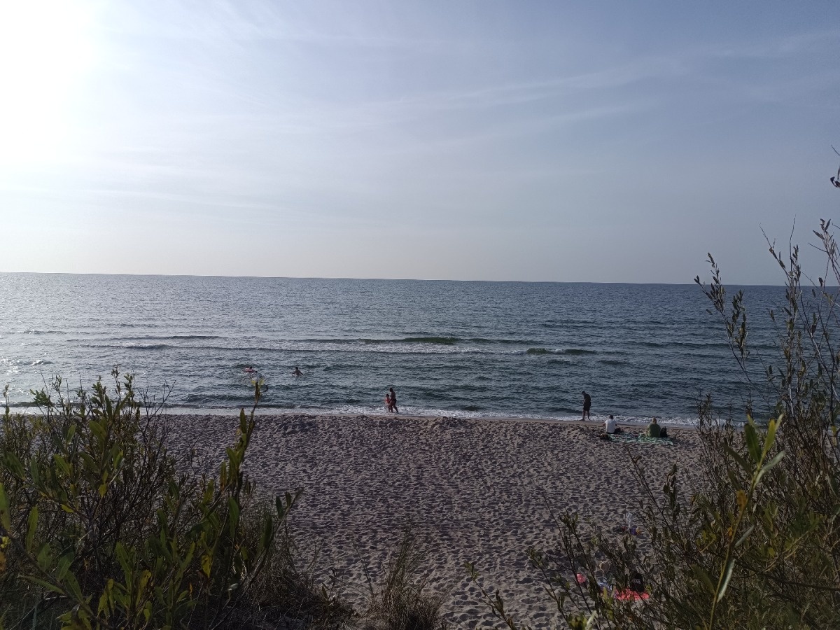 266ffa31-33ac-4862-94d4-6f90b432e602