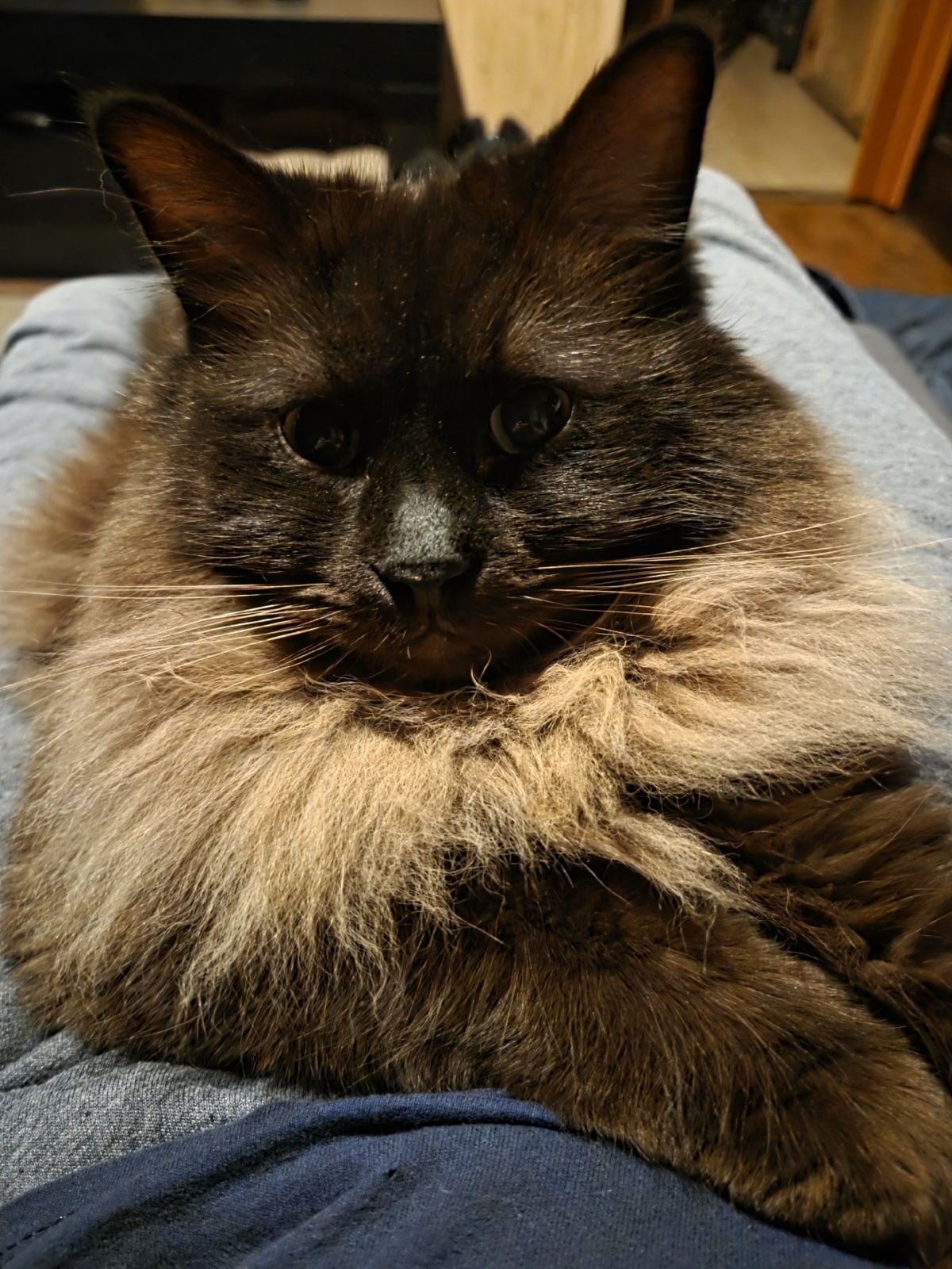 8bb966a7-6eef-49f1-b8b3-8ee7a1715815