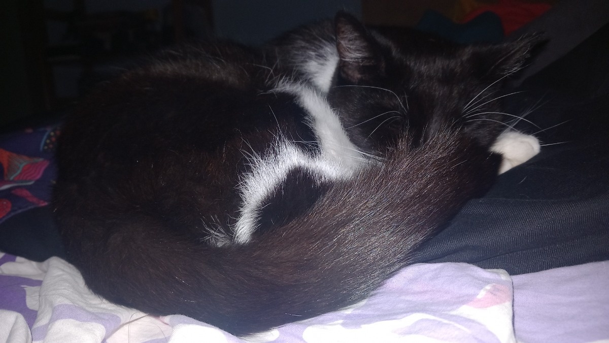 7e1552b9-5a11-4575-b3f4-ecf860c7b521