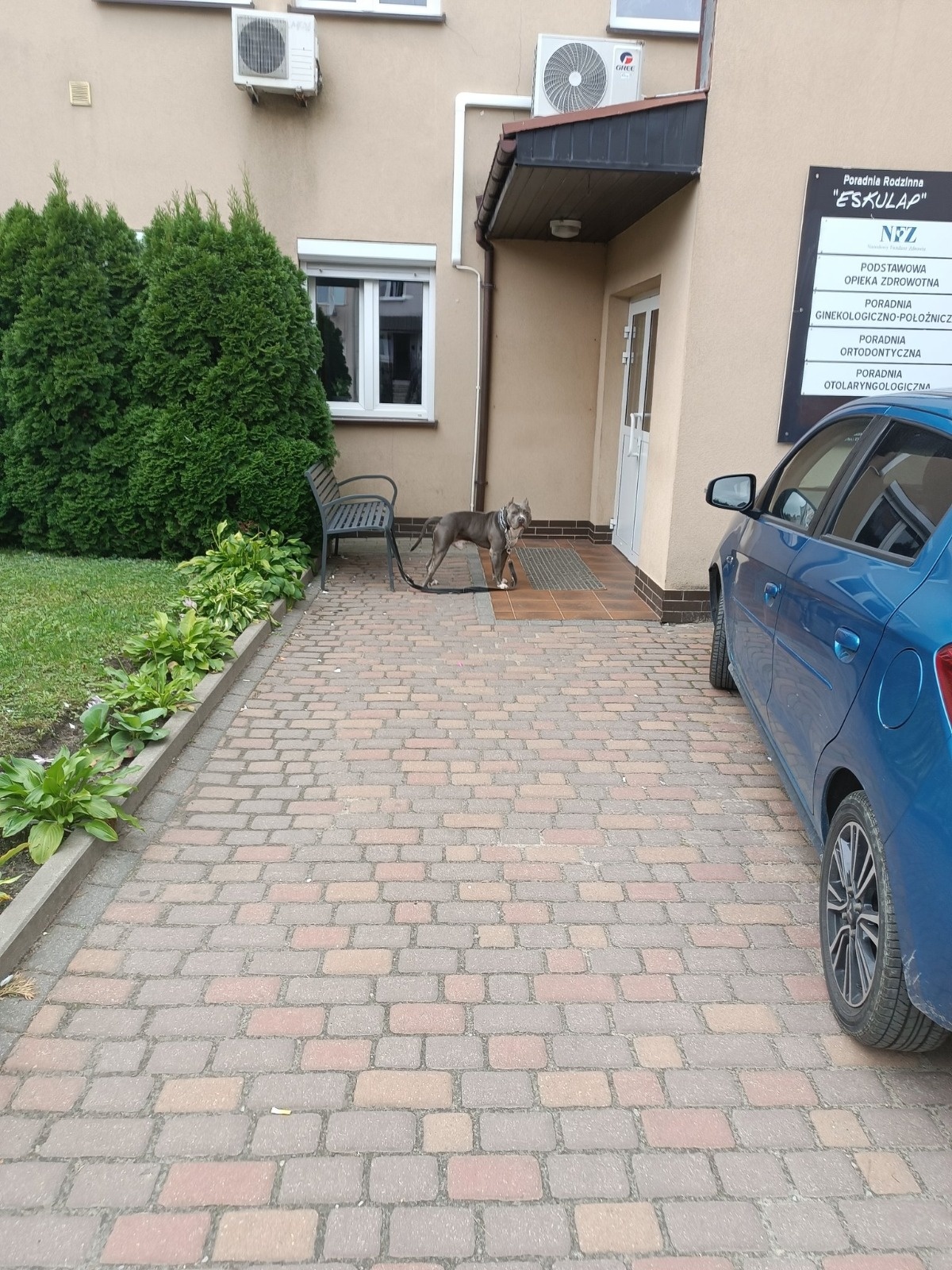 98e416b9-bbf0-4d11-82ad-1e3150eea267