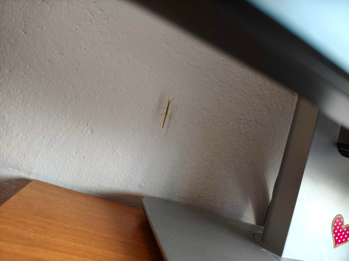 37a4b250-5adc-4b70-a1bb-538f7ca952f7